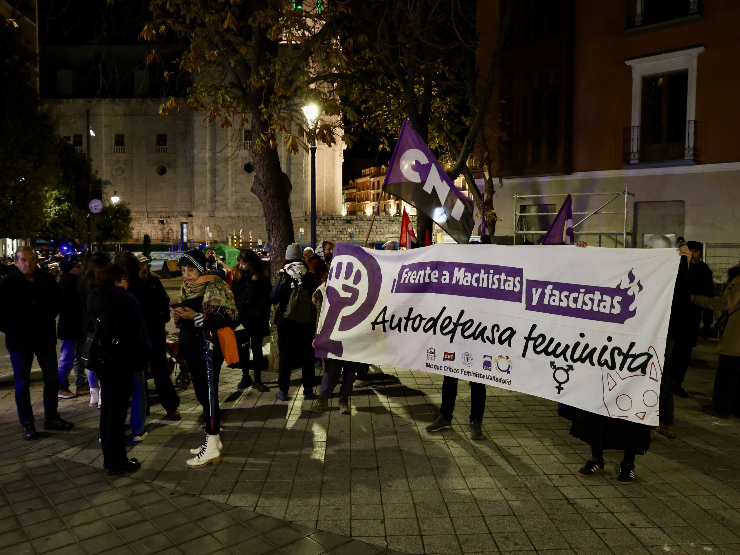 La manifestación por el 25-N en Valladolid, en imágenes