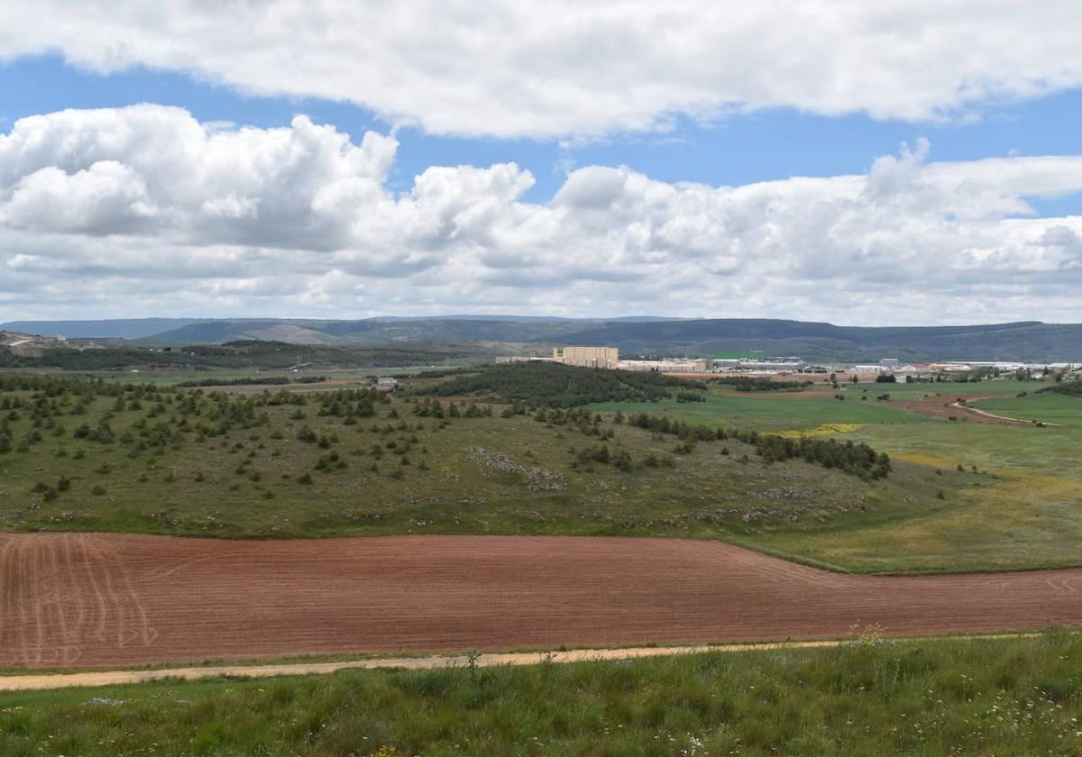 Ladera en la que se construirá el campo de tiro.