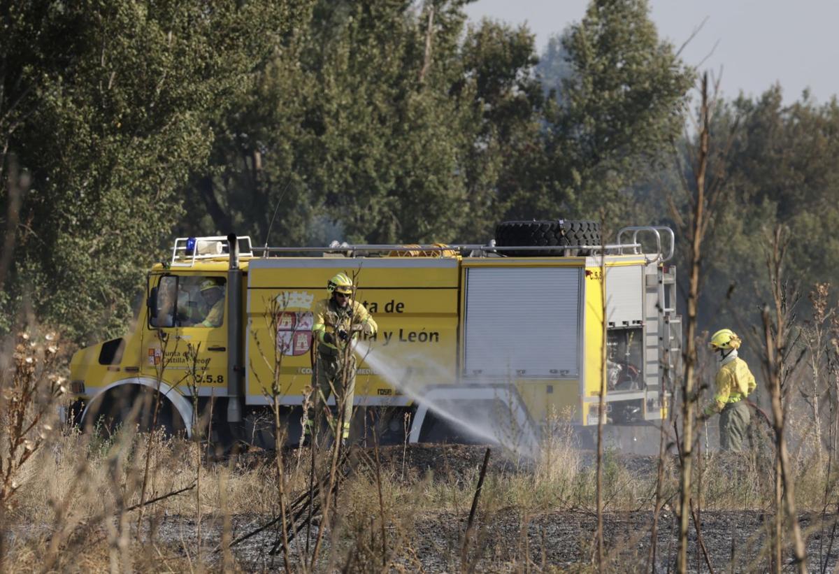 Intervención de los bomberos forestales en una imagen de archivo.