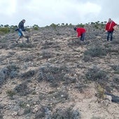 Un premio para un plan medioambiental en un pueblo de Valladolid