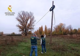 Uno de los postes de tendido telefónico que sufrió el robo de cable.