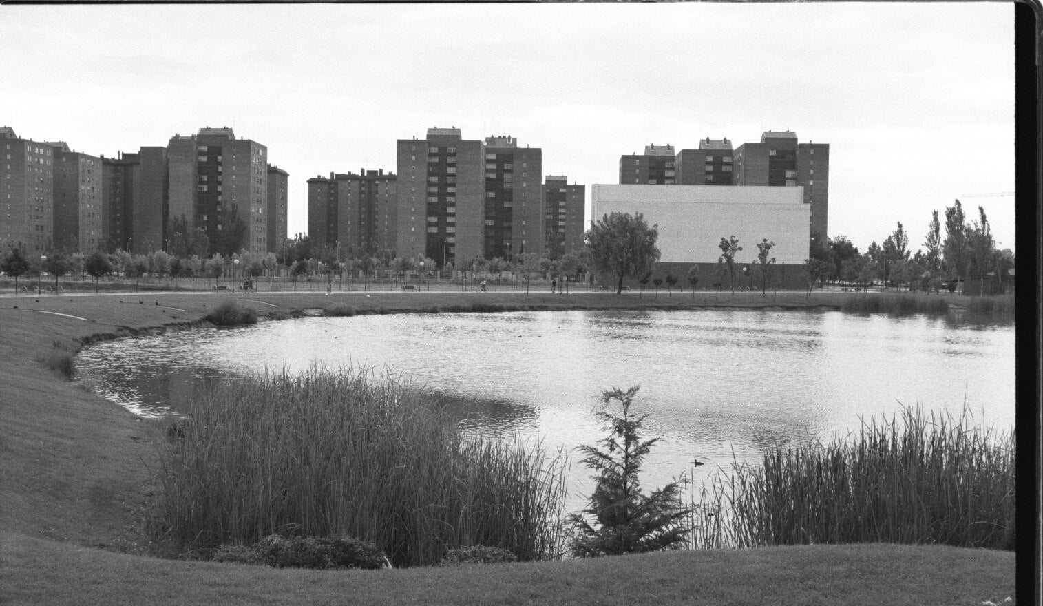 Entorno del lago con Torrelago al fondo en julio de 1997.