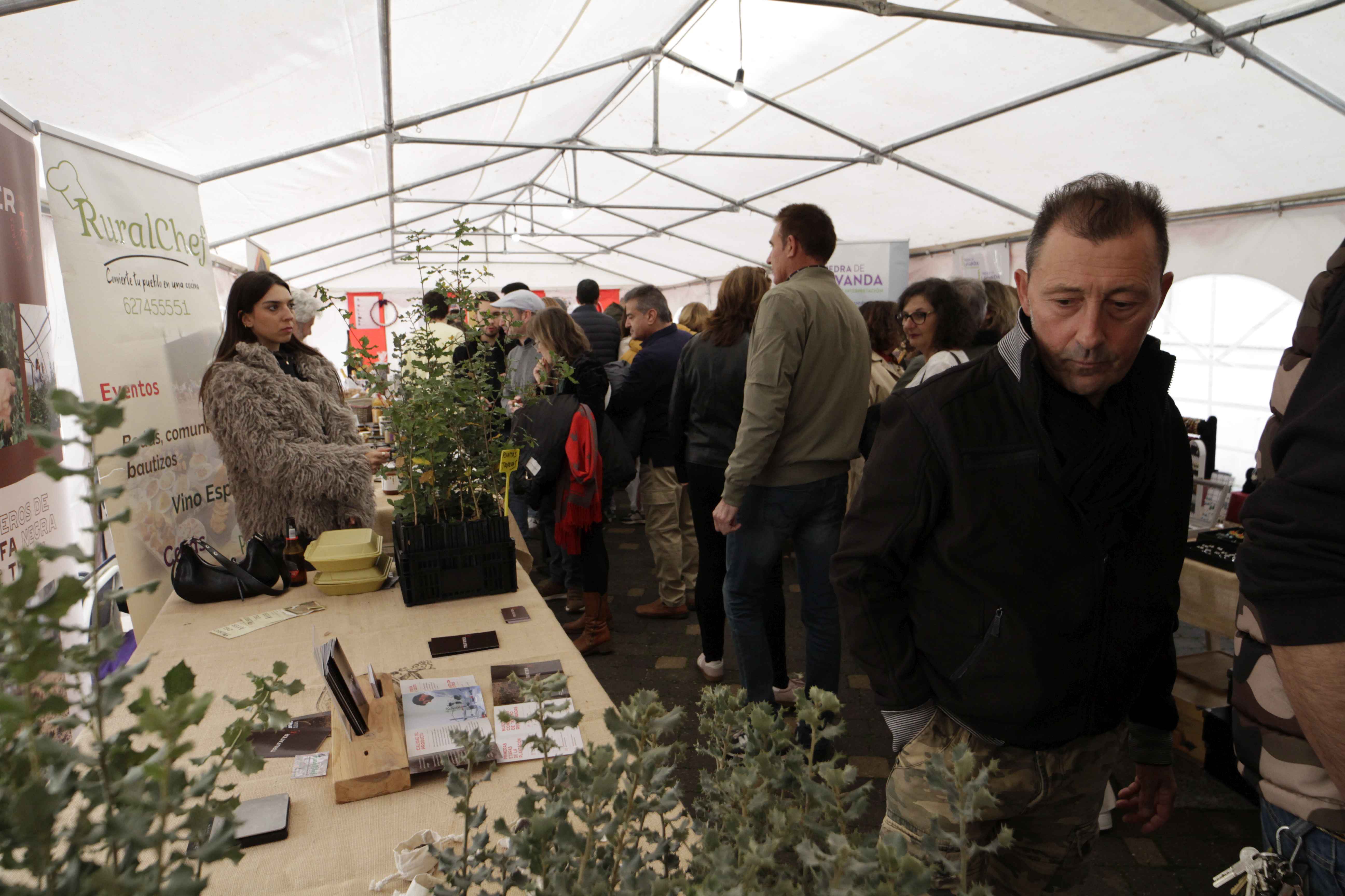 La IV Feria de la Trufa Negra de Cogeces del Monte, en imágenes