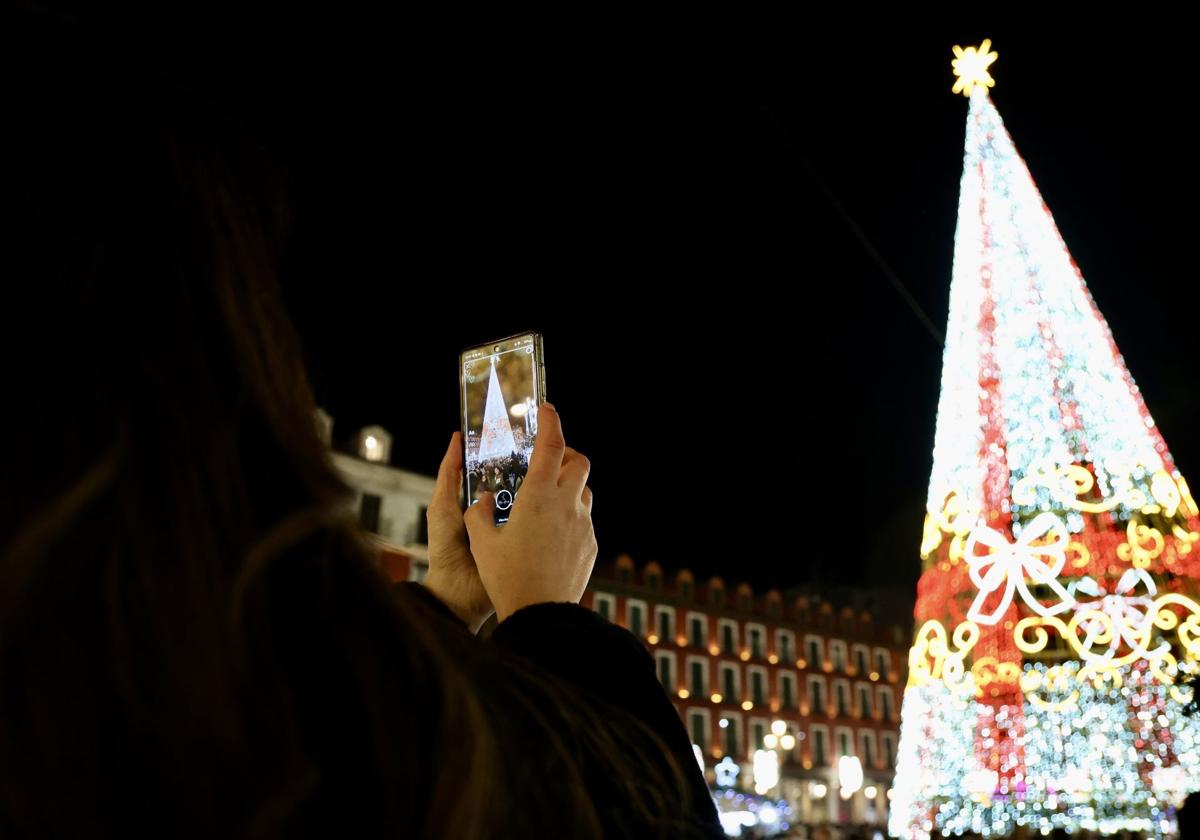 Árbol de navidad instalado en la Plaza Mayor.