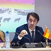 La Junta presiona en Bruselas para reducir la protección del lobo