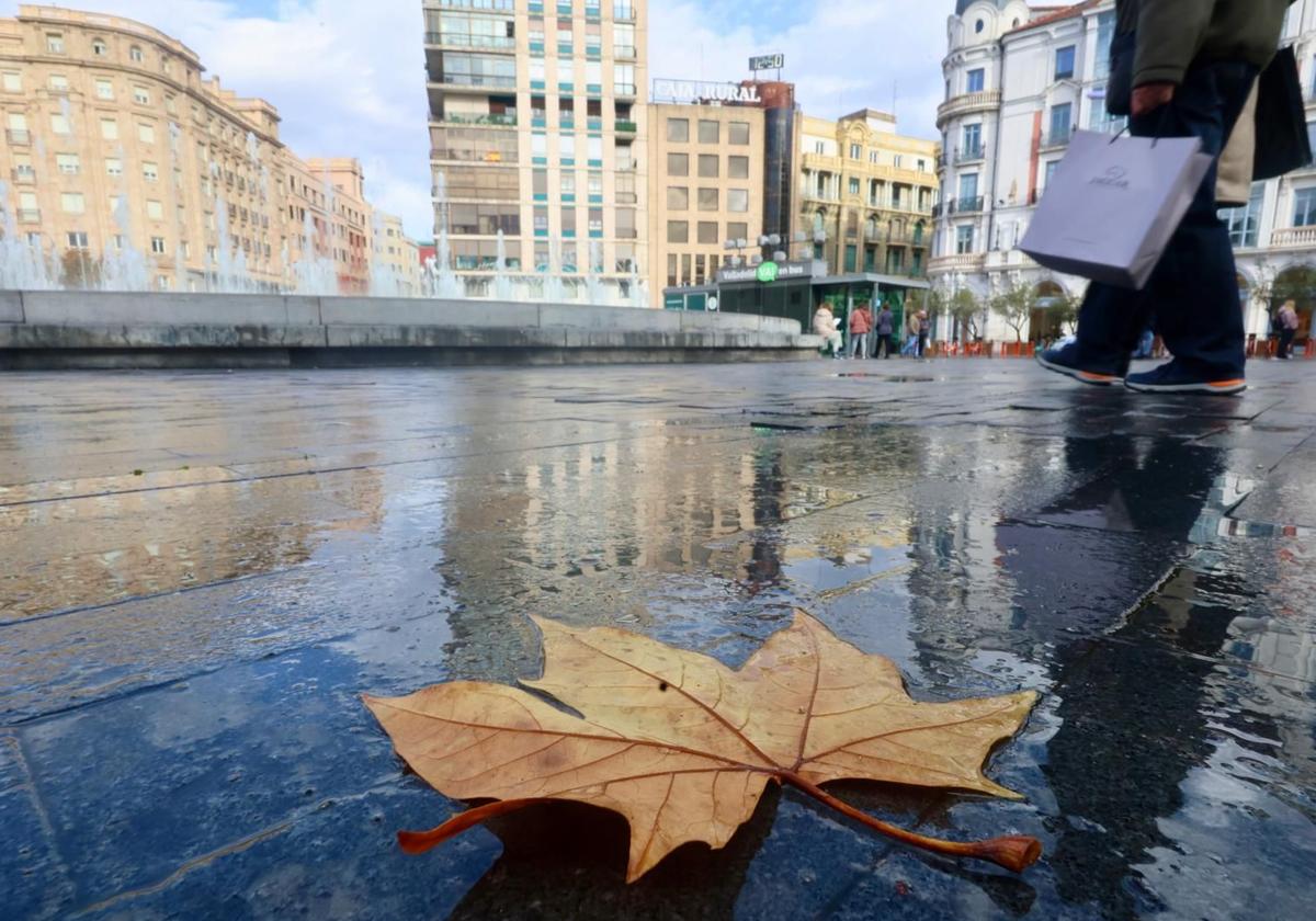 Una hoja caída sobre la calzada humedecida por las lluvias de la pasada madrugada en la plaza de Zorrilla.