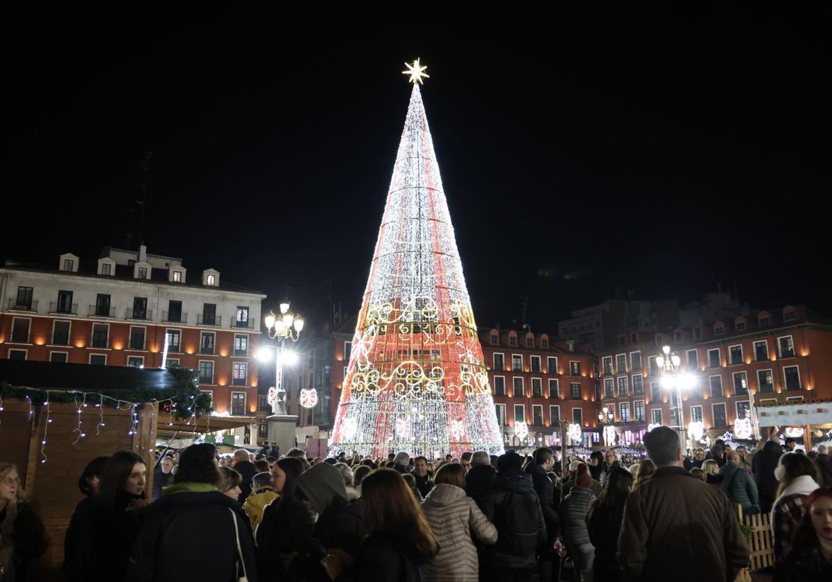 Árbol de Navidad instalado en la Plaza Mayor de Valladolid.