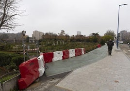 Un peatón circula por la nueva acera junto al carril bici en el tramo de La Rosaleda.