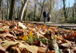 Paseantes en un día soleado de otoño en la Alameda del Parral.