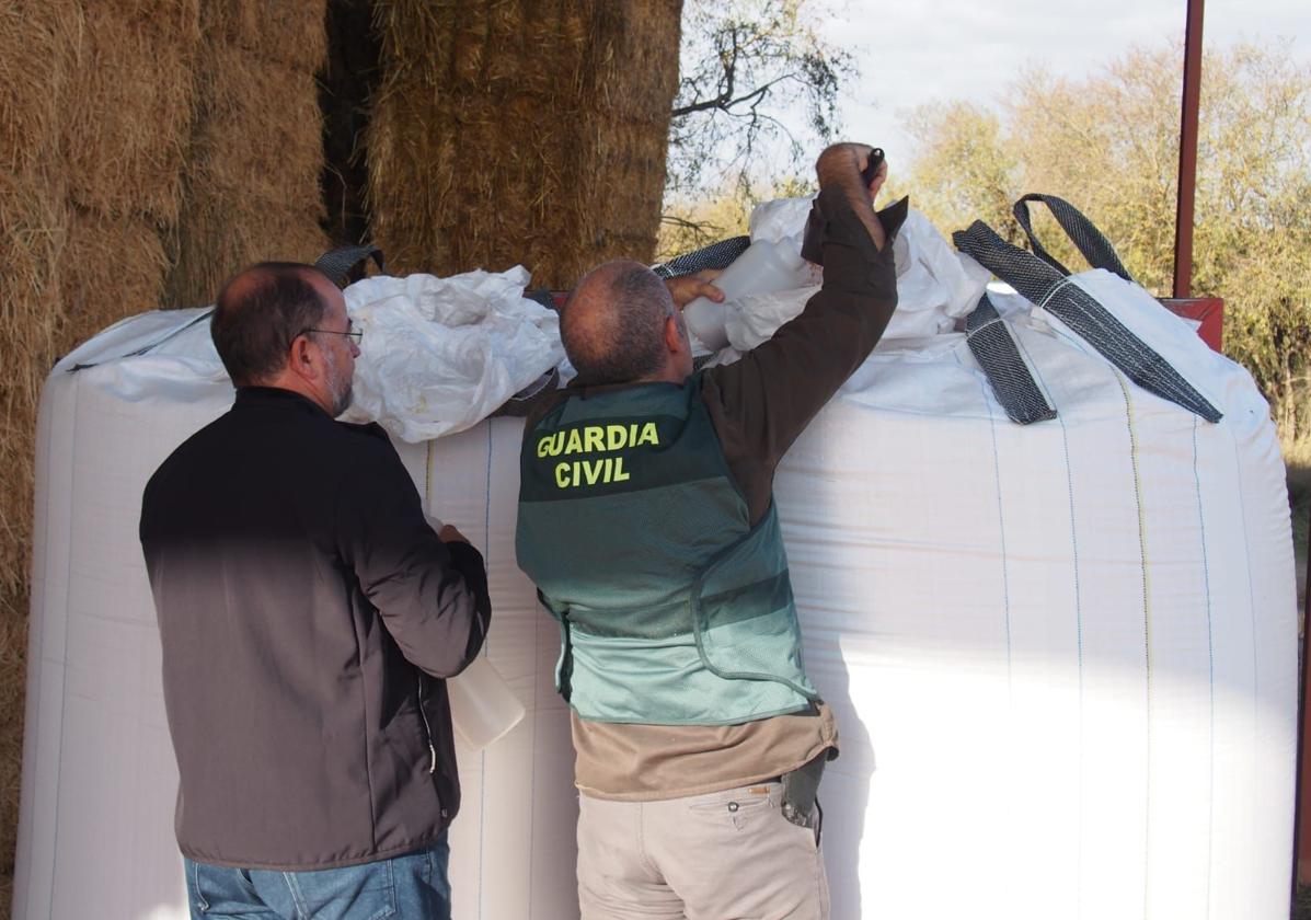 Un guardia civil precinta sacos de semilla intervenidos.