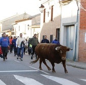 La suelta de dos novillos en Pollos cierra la temporada del festejo popular en Valladolid