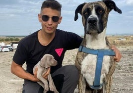 Alberto Arranz con un cachorro y con su perro Río, un Alana Español.