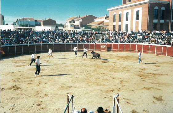 Concurso de Cortes de Le Flecha. 1995.