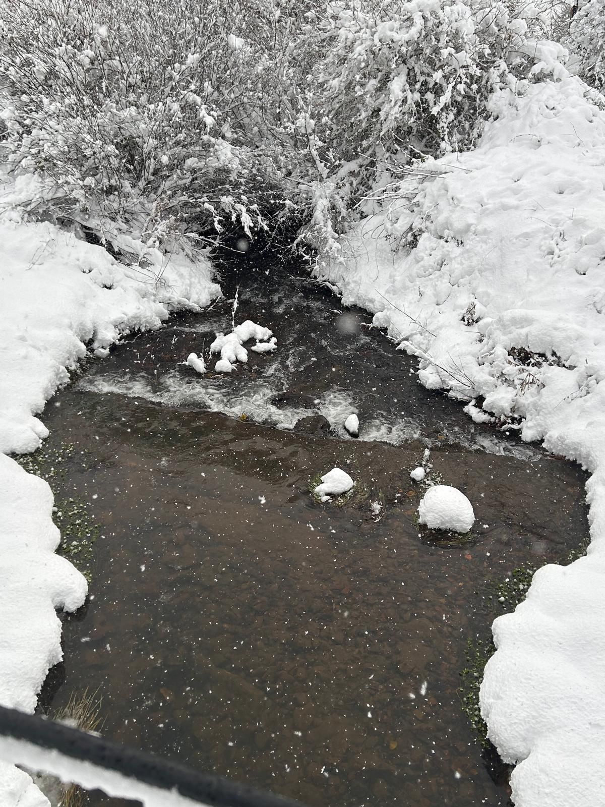 La nieve deja bonitas estampas en Cantamuda