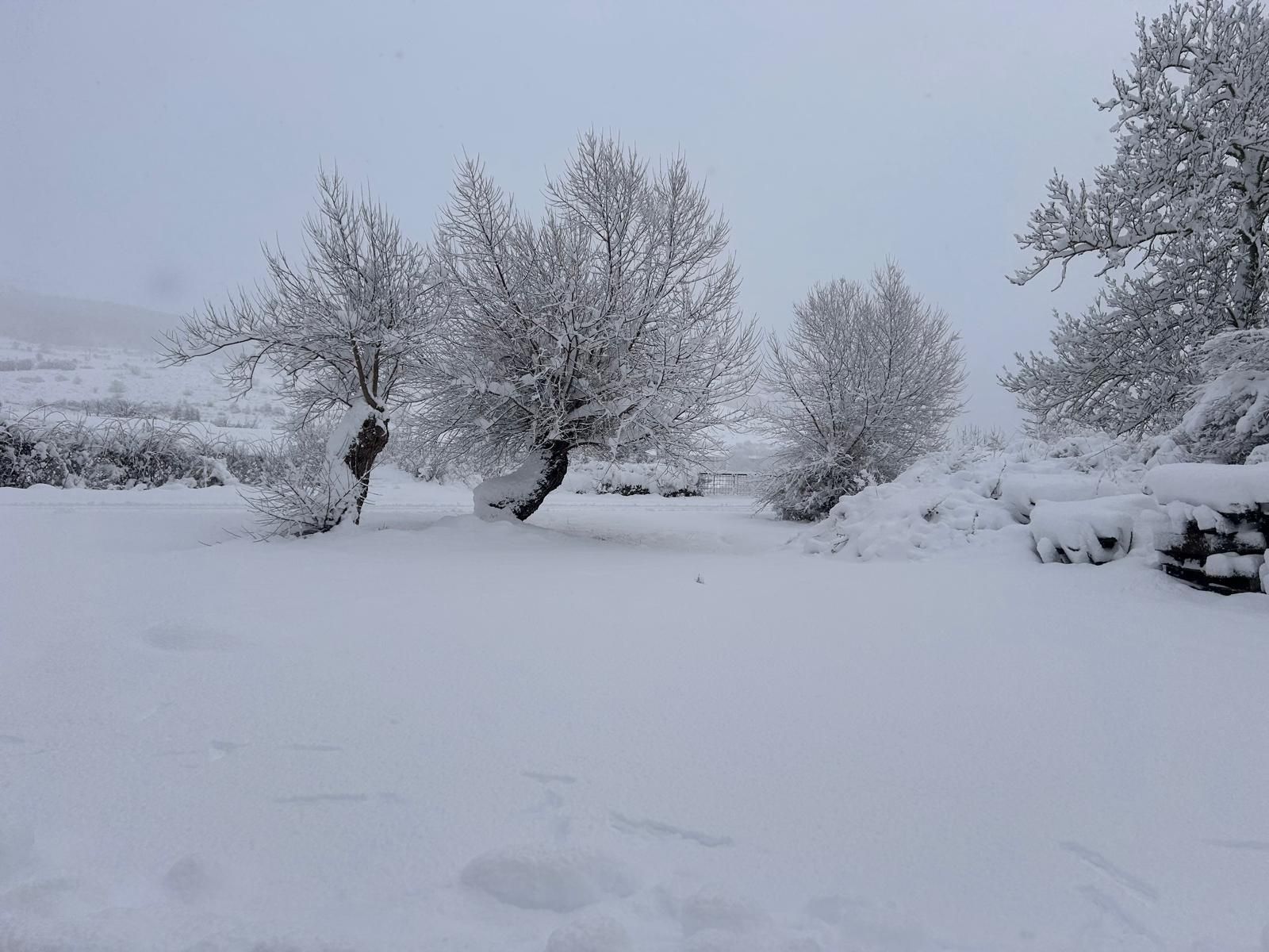 La nieve deja bonitas estampas en Cantamuda
