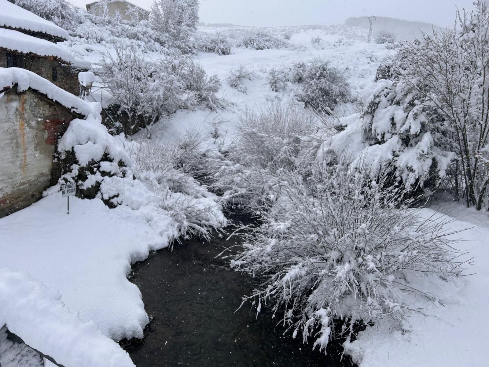 La nieve deja bonitas estampas en Cantamuda