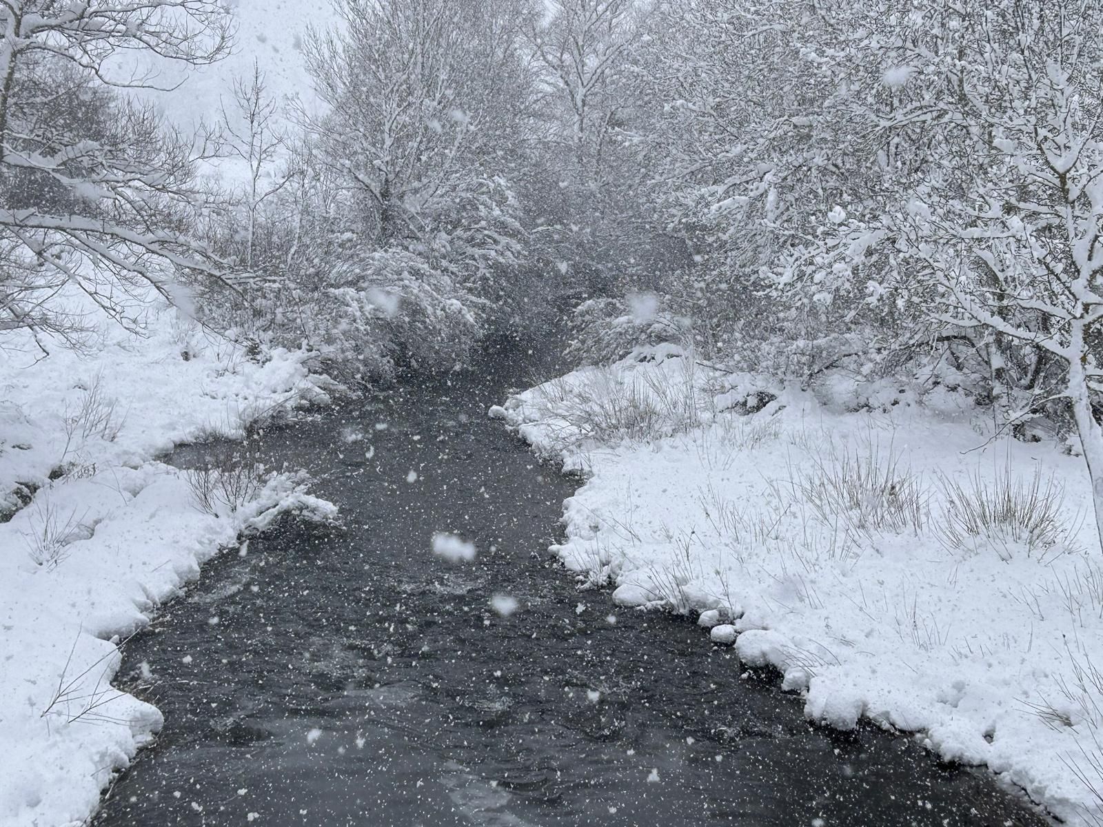 La nieve deja bonitas estampas en Cantamuda