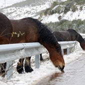 Precaución en la y A-67 y AP-66 cadenas en tres carreteras de la red principal de León