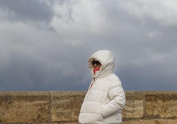 Las tres provincias de Castilla y León que alcanzarán los tres grados bajo cero esta semana