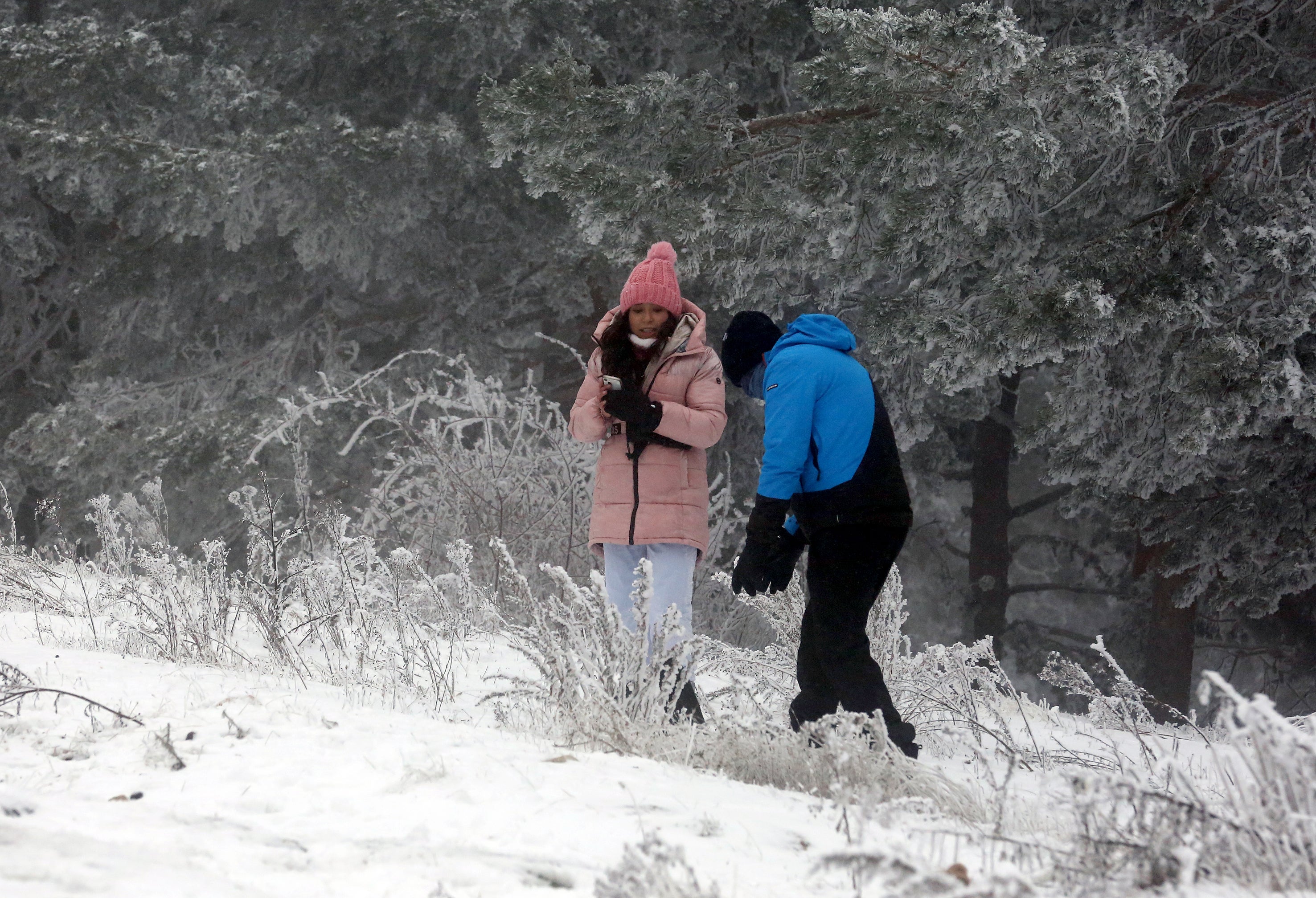 El final del otoño cubre de nieve la vertiente segoviana de la sierra de Guadarrama