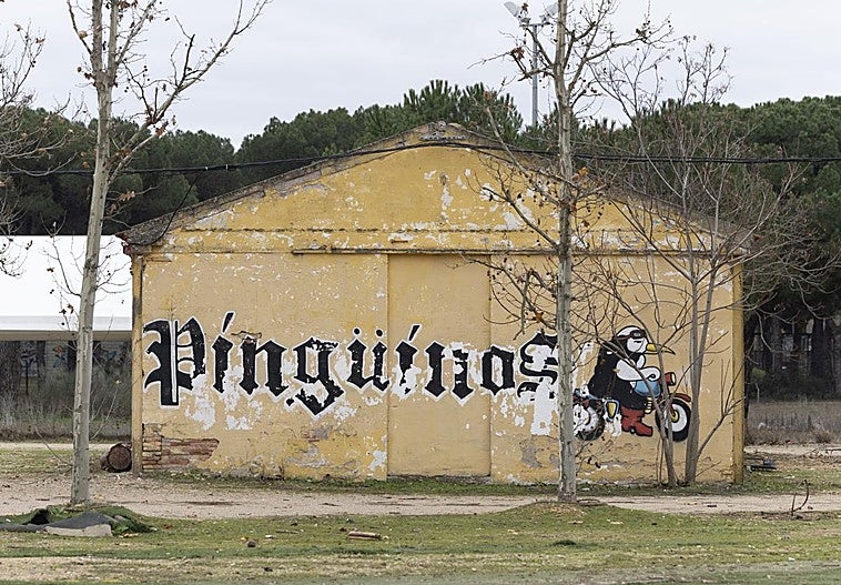 Preparativos de las instalaciones en la antigua Hípica Militar, que albergará Pingüinos del 9 al 12 de enero.