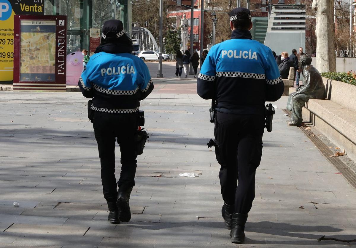 Muere un perro tras caer desde la ventana de un domicilio en Palencia