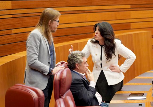 Pablo Fernández (Unidas Podemos) hablar con María Ángeles Prieto (PP) durante el último Pleno.
