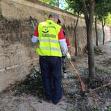 Río de residuos junto al Pisuerga y Esgueva: retiran siete toneladas en seis meses