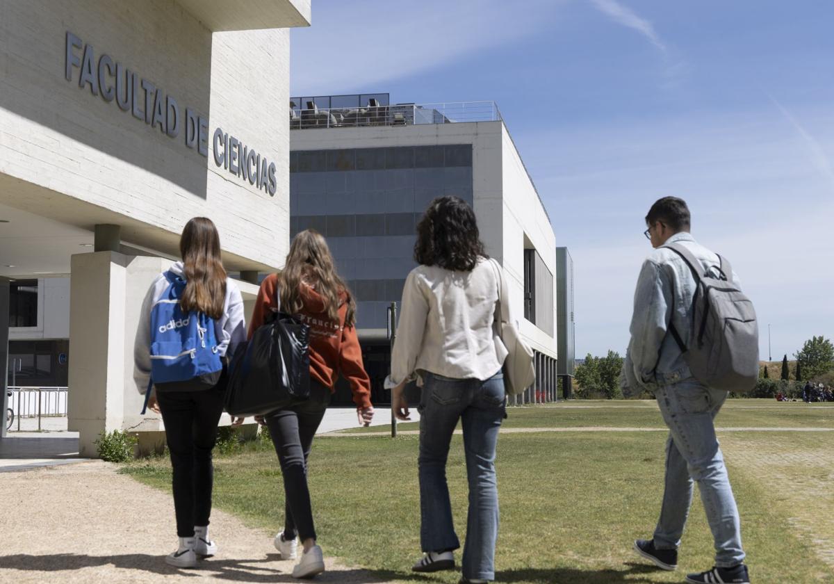 Varios alumnos entran en la facultad de Ciencias de la Universidad de Valladolid, en una imagen de archivo..