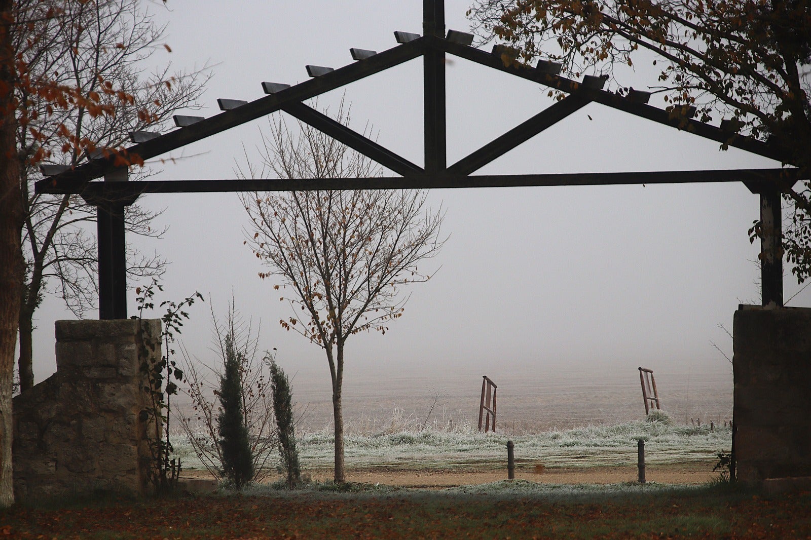 Primera cencellada en Rioseco