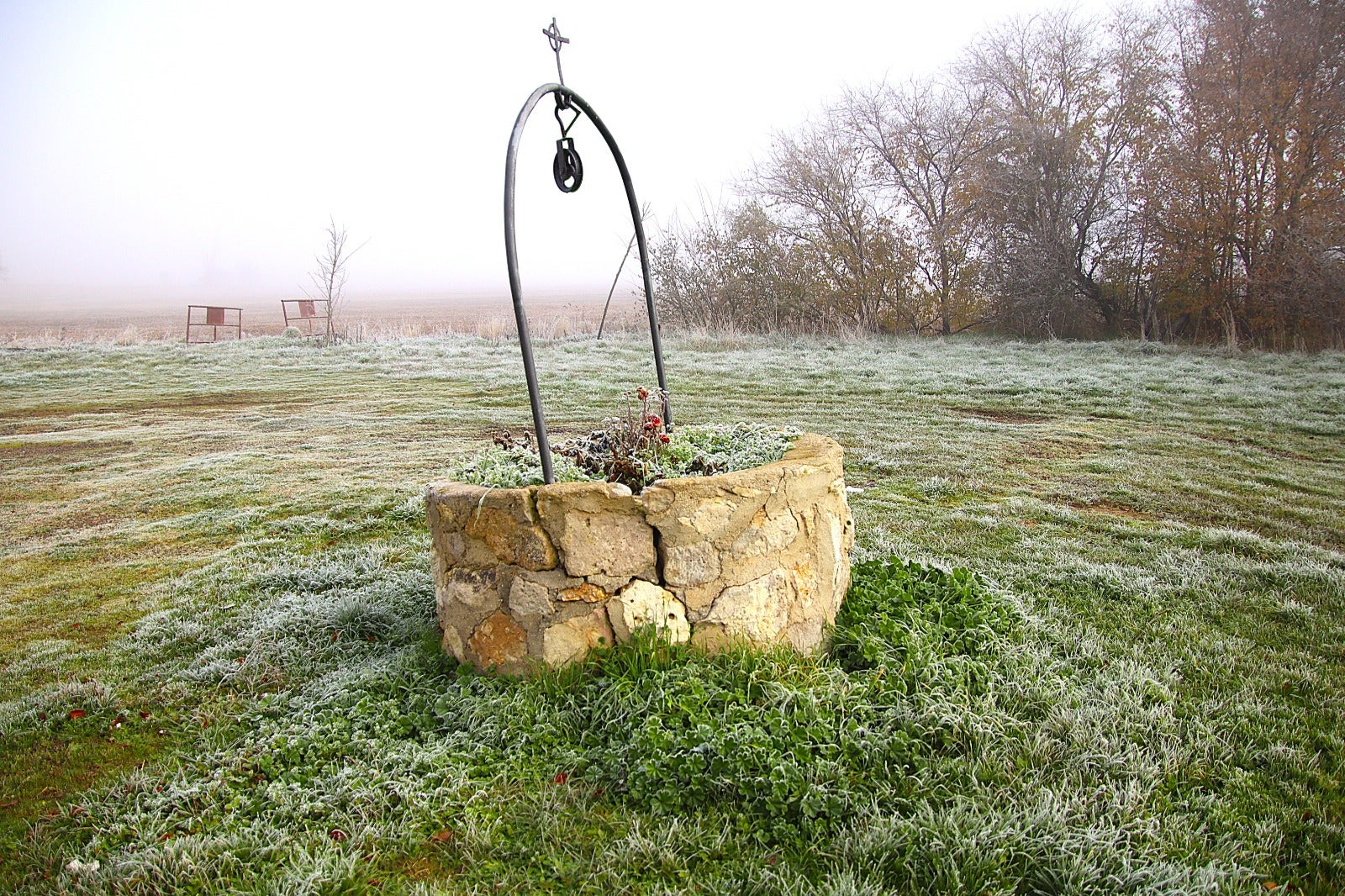 Primera cencellada en Rioseco