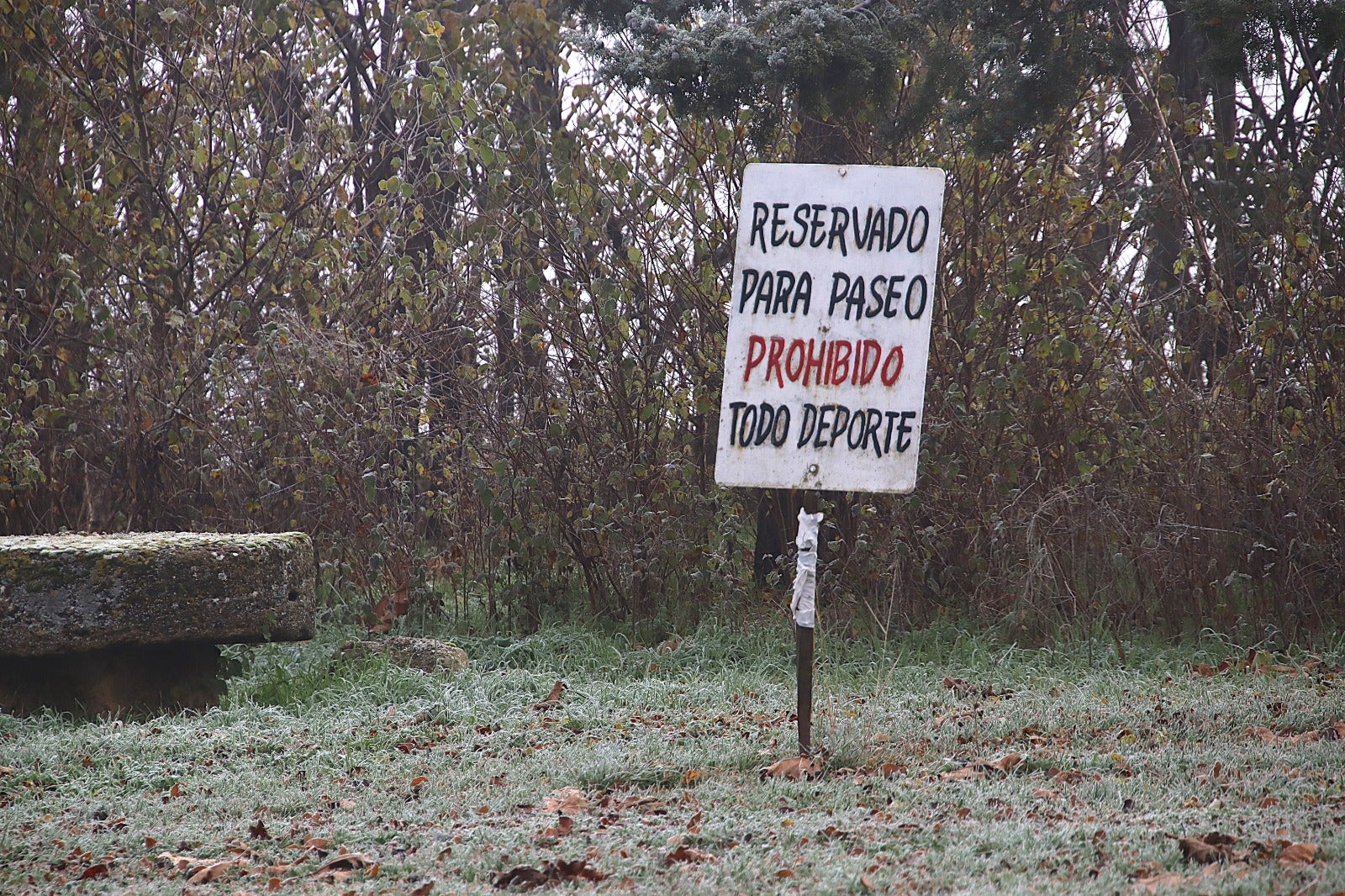 Primera cencellada en Rioseco
