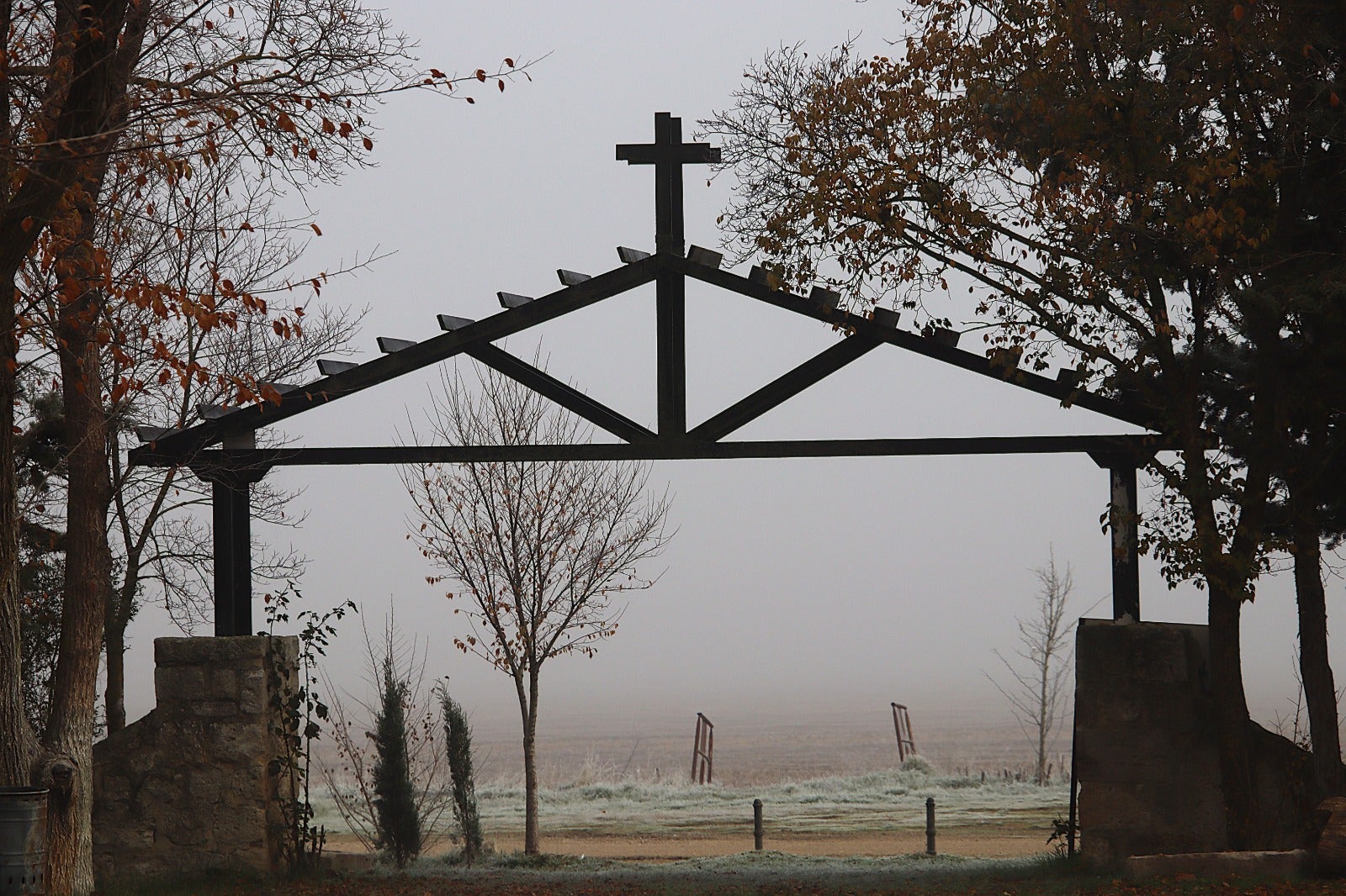 Primera cencellada en Rioseco