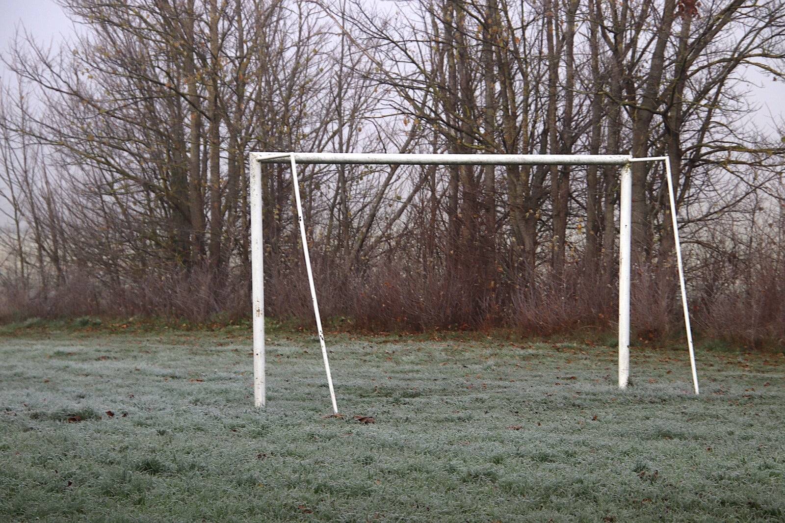 Primera cencellada en Rioseco
