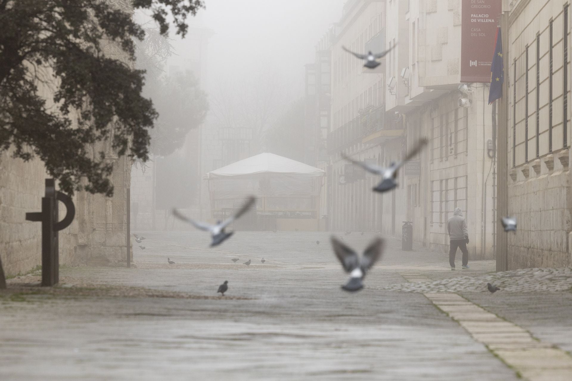 Mañana de niebla y cencellada en Valladolid