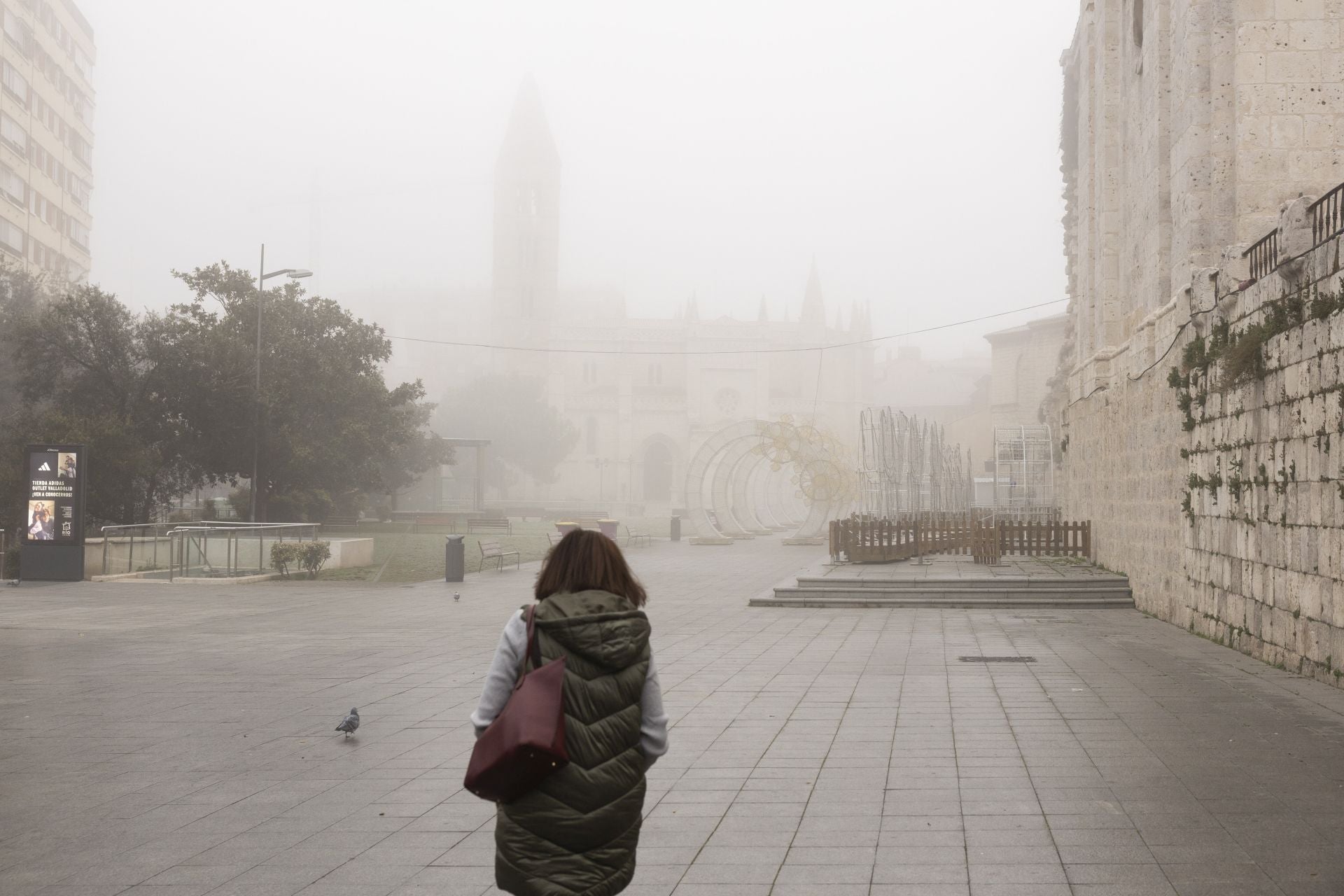 Mañana de niebla y cencellada en Valladolid