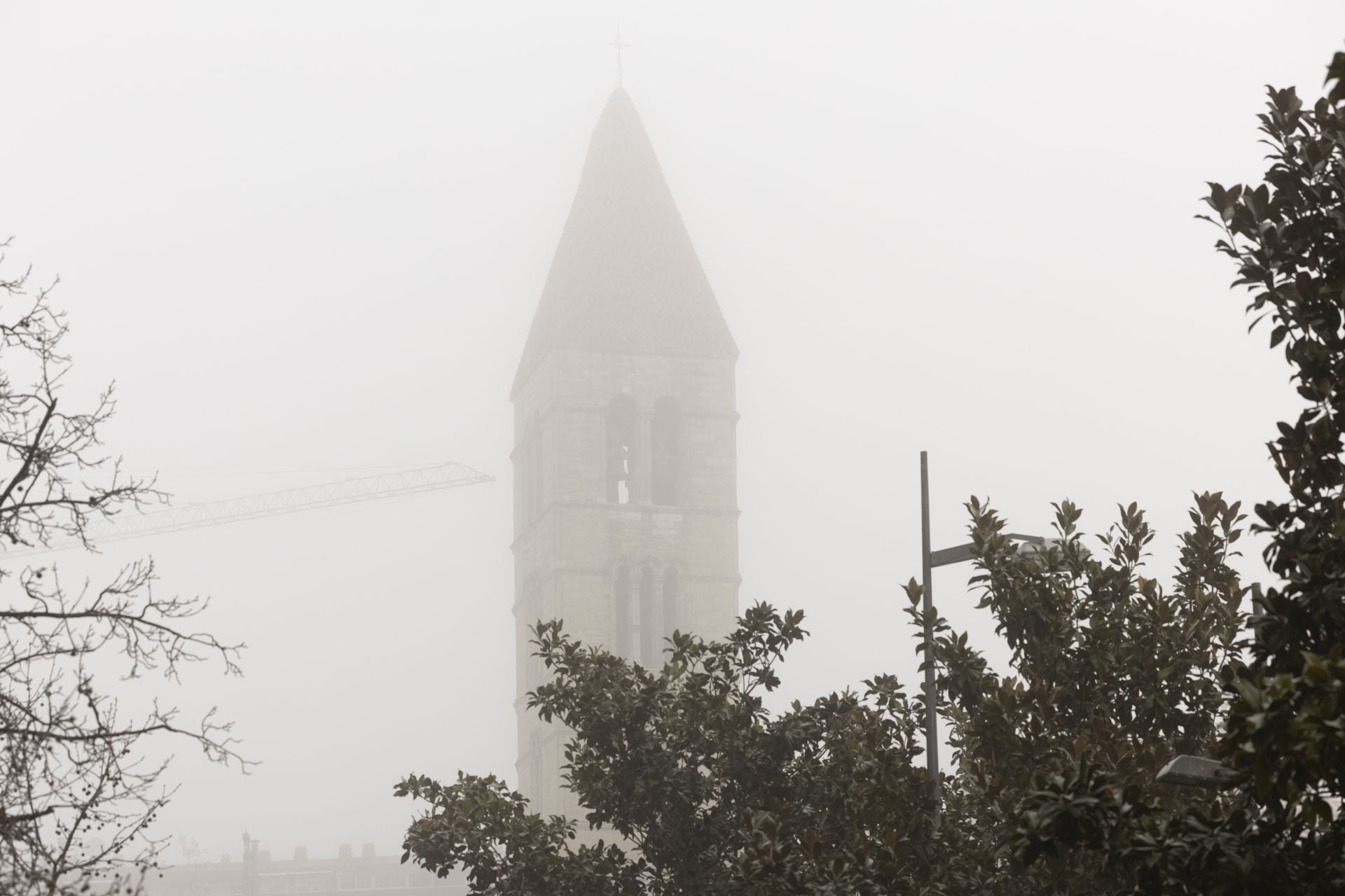 Mañana de niebla y cencellada en Valladolid