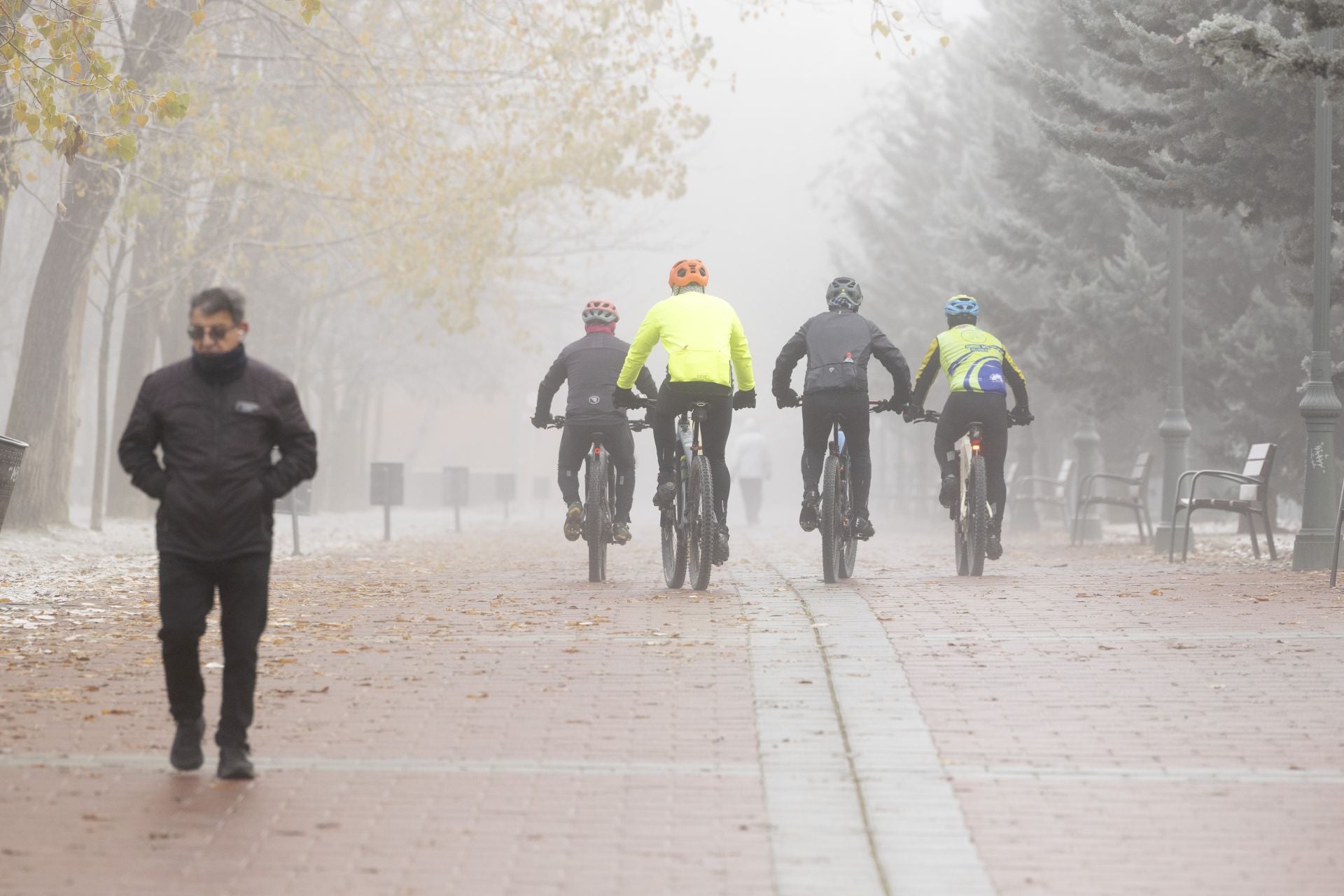Mañana de niebla y cencellada en Valladolid