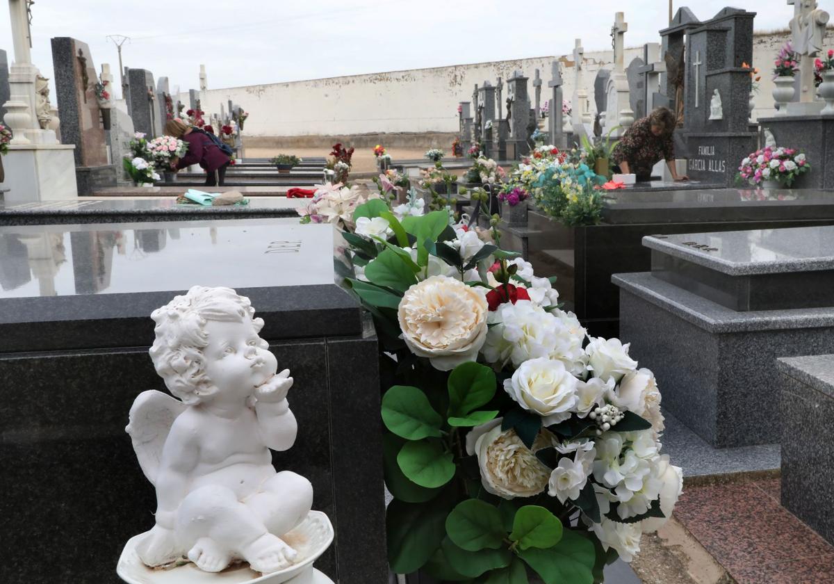 Cementerio de Palencia, en una imagen de archivo.