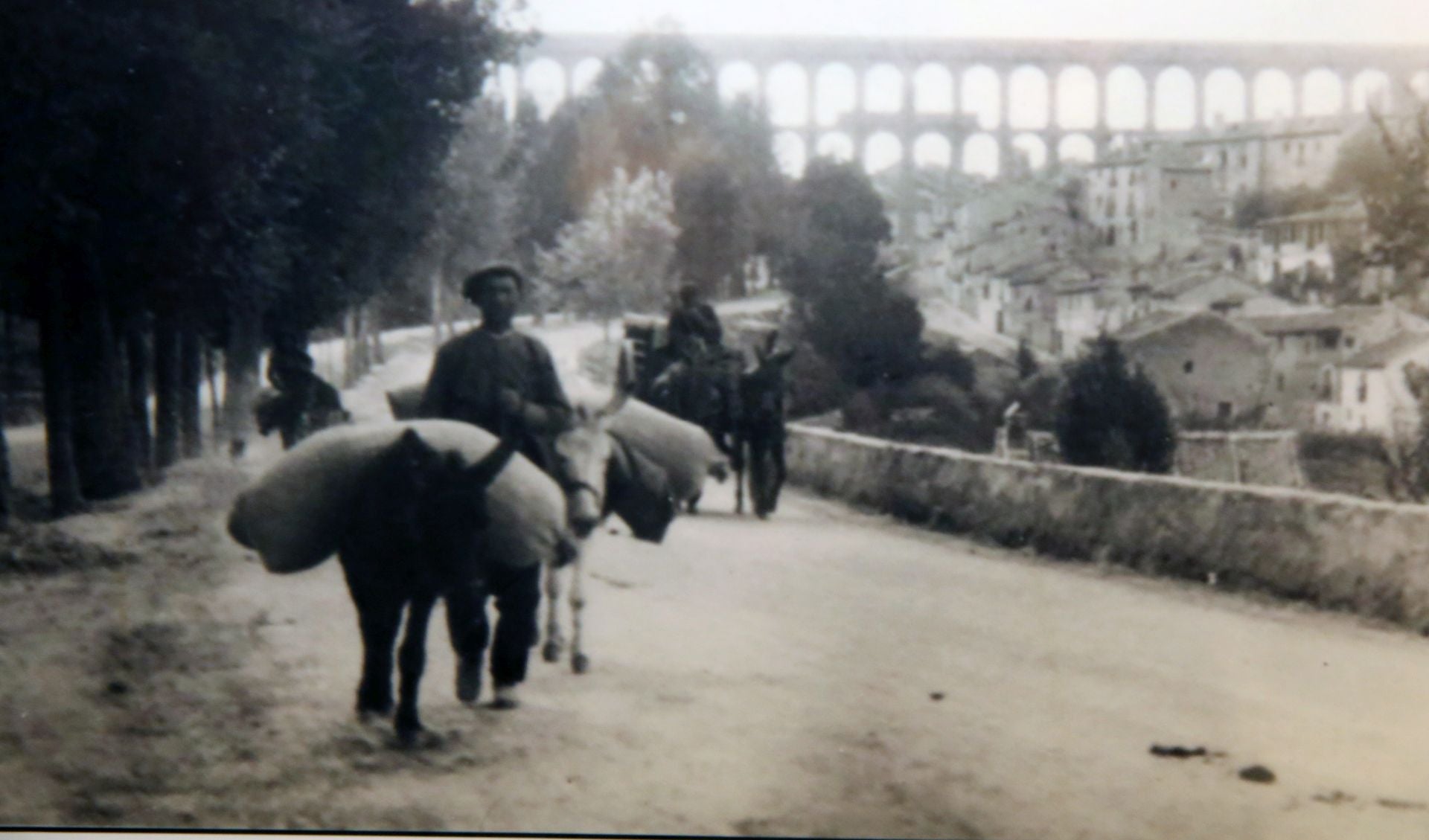 Algunas fotos de la nueva exposición del Rodera-Robles