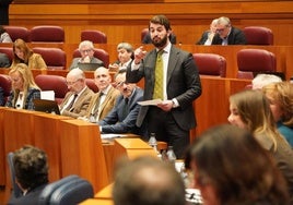 Juan García-Gallardo, este martes, en el pleno de las Cortes.