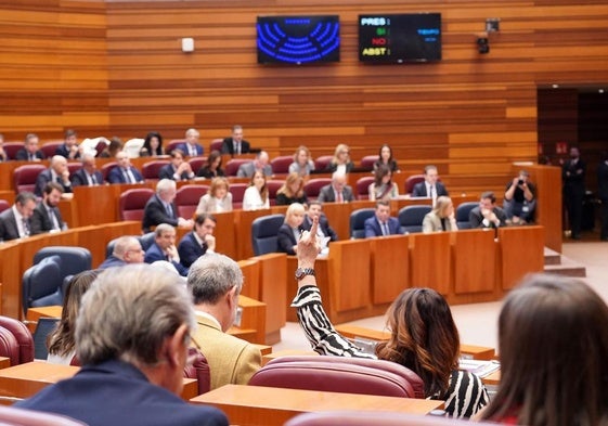 Votación en la segunda sesión del pleno de las Cortes de Castilla y León.