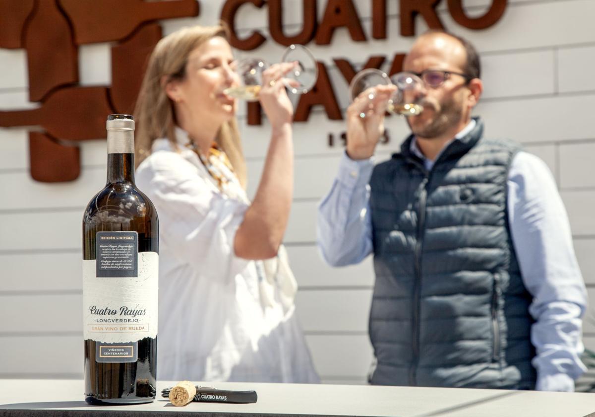 Verdejo seleccionado de los mejores pagos de viñedo viejo de la cooperativa.