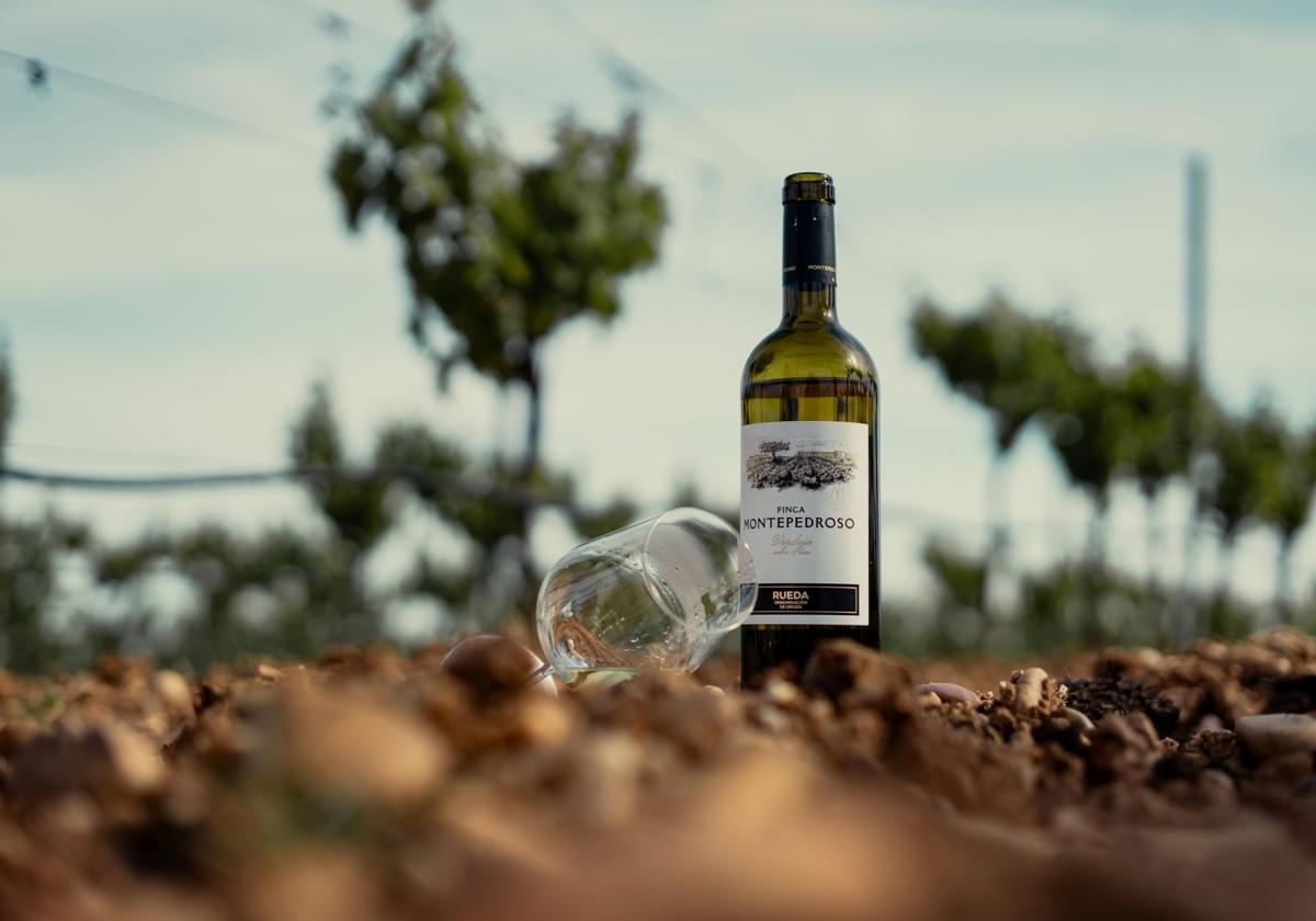 Botella de Finca Montepedroso.
