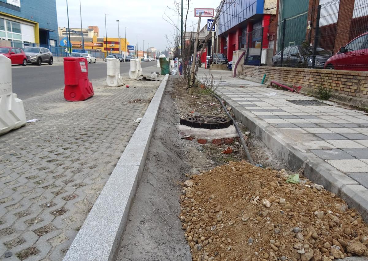 Imagen secundaria 1 - Estado de las aceras y parterres del tramo inicial de la avenida de El Norte de Castilla.