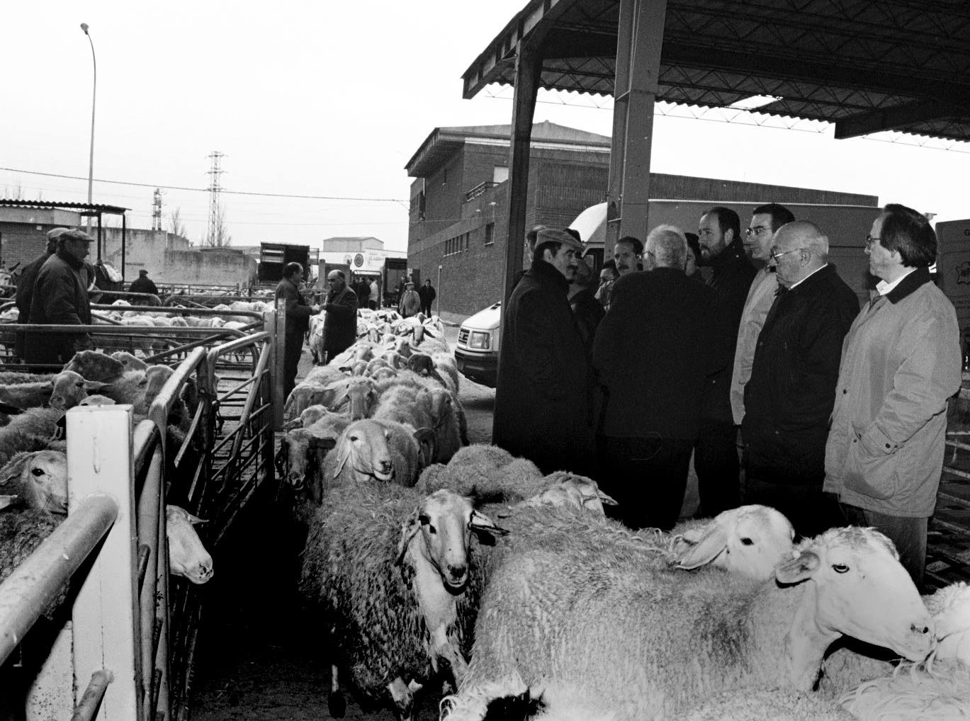 Empresarios y miembros del Ayuntamiento visitan el mercado de ganados de Medina del Campo. Marzo de 1999.