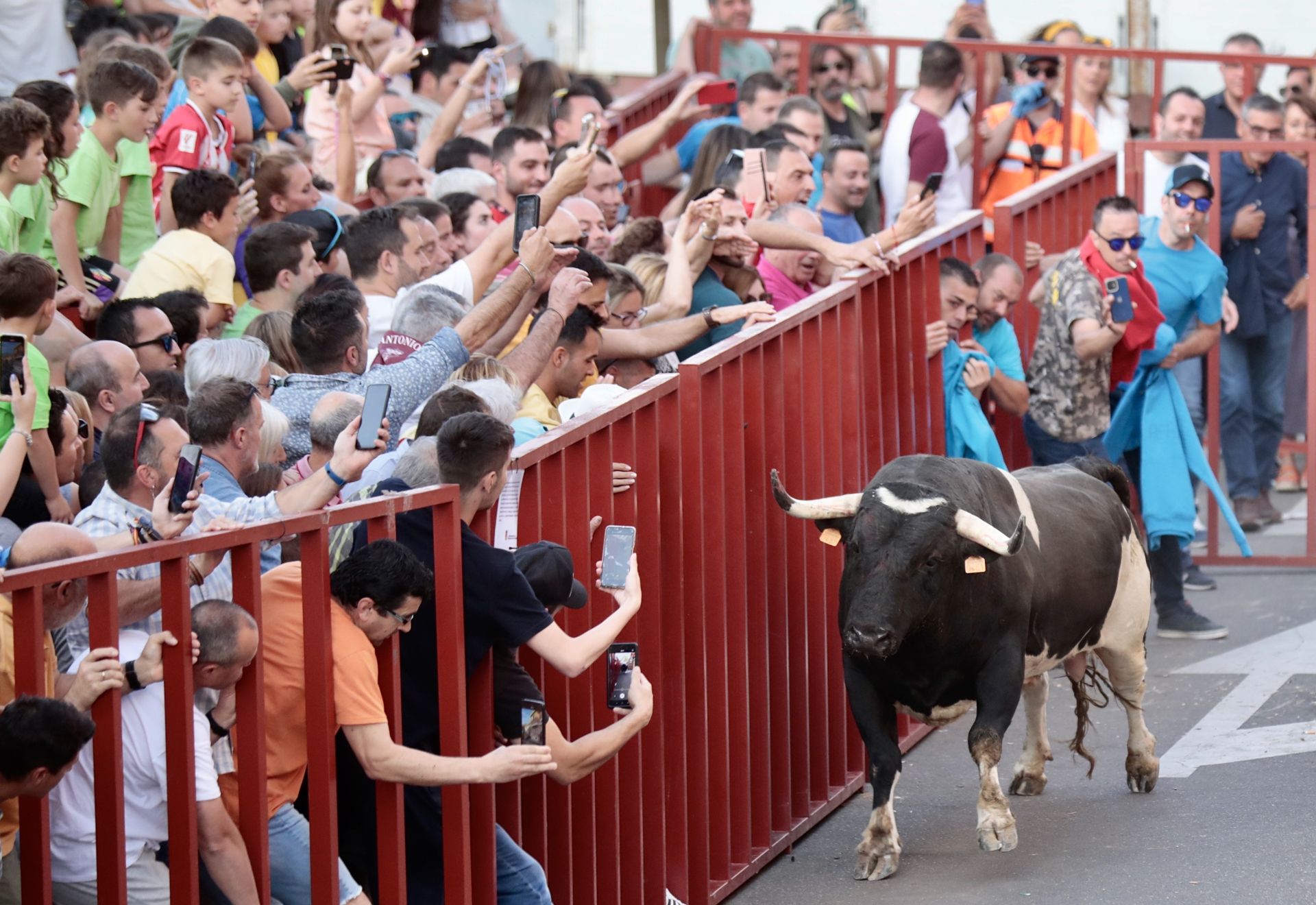 Hay quien va a ver encierros y los que van a hacerle fotos al toro. Hay quien va a conciertos y los que van a hacerle una 'storie' a Taylor Swift. Vivimos una época de recuerdos pixelados y donde parece que no estuvimos si no hay registro en el GPS del móvil. De esta imagen en los encierros de Arroyo no destacan los cuernos del morlaco, no. Lo interesante es que hay casi más móviles que brazos. Que ya es decir.