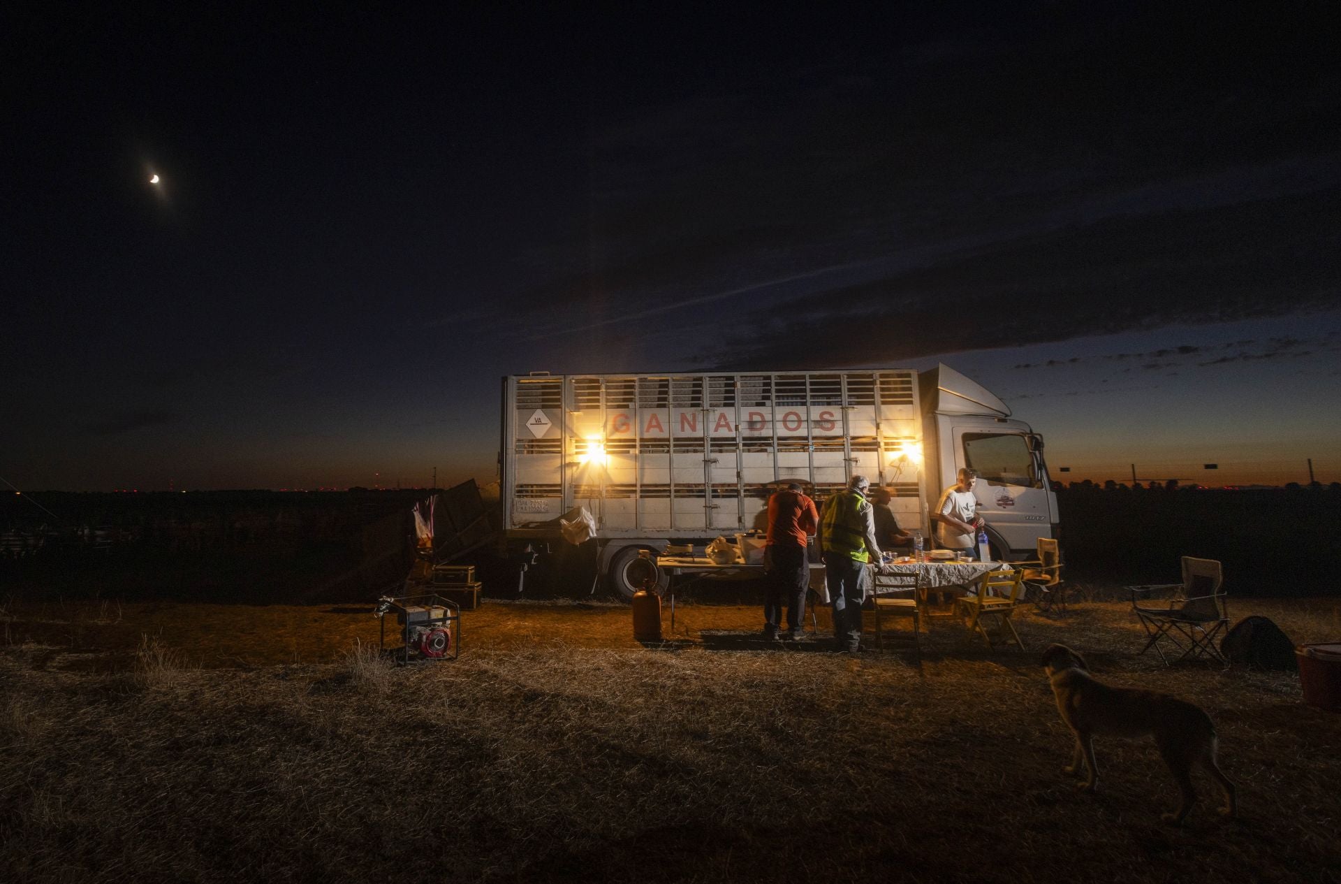 Anochece en el parque de Renedo y Rubén Jiménez, pastor de 40 años, prende los generadores para iluminar su cena, la de su cuadrilla y la de su rebaño. Ganadero de quinta generación, se desplaza a nueve parques fotovoltaicos de la provincia para que su rebaño se coma la hierba que crece bajo las placas solares. 