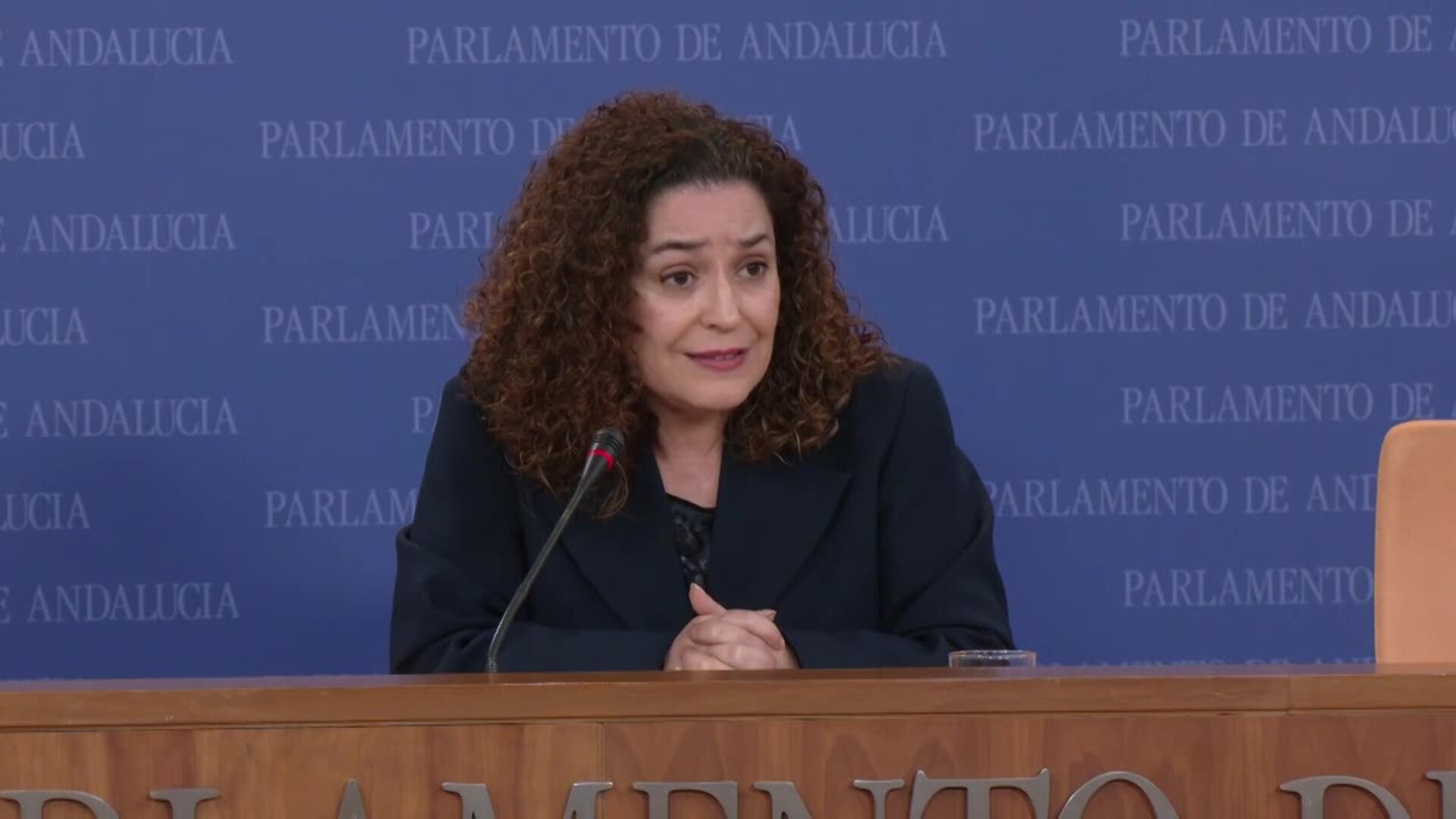 Por Andalucía irá a la Comisión de Venecia si Parlamento convalida el decreto de simplificación