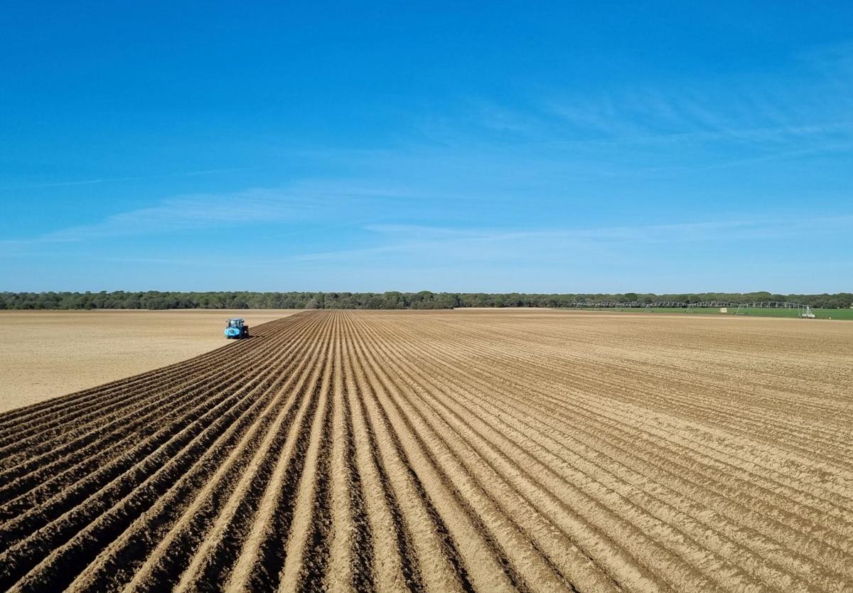 Preparación de una parcela de uso agrario para la siembra.